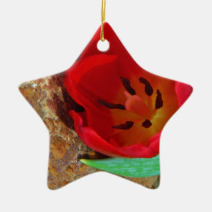 Spring yellow and Red Tulip Ceramic Tree Decoration