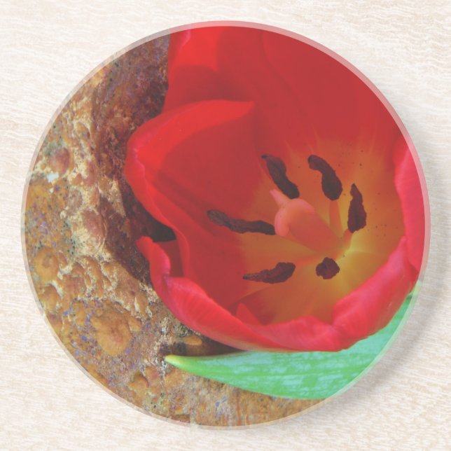 Spring yellow and Red Tulip Coaster (Front)