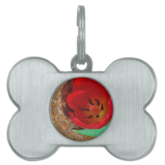 Spring yellow and Red Tulip Pet Tag (Front)