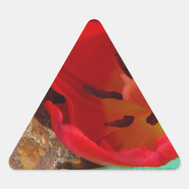 Spring yellow and Red Tulip Triangle Sticker (Front)