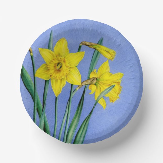 Spring yellow daffodils art blue sky easter paper plate (Front)
