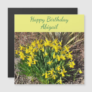 Spring Yellow Daffodils Magnetic Birthday Card