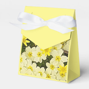 Spring Yellow Primroses Favour Box
