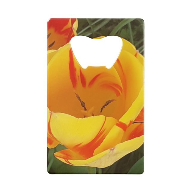 Spring Yellow Tulips Bottle Opener (Front)