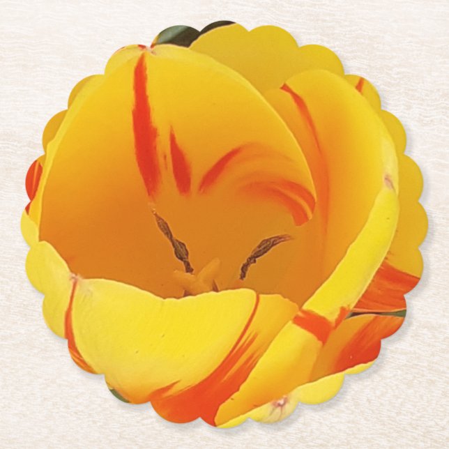 Spring Yellow Tulips Paper Coaster (Front)