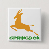 Springbok