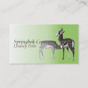 Springbok Business Card