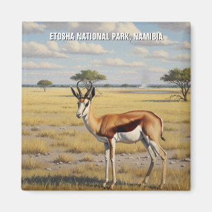 Springbok Etosha National Park Namibia Travel Magnet