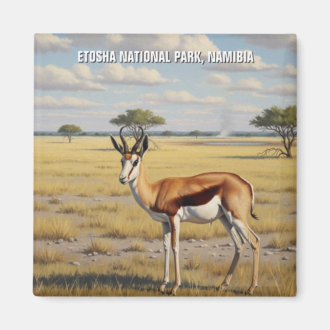 Springbok Etosha National Park Namibia Travel Magnet (Front)