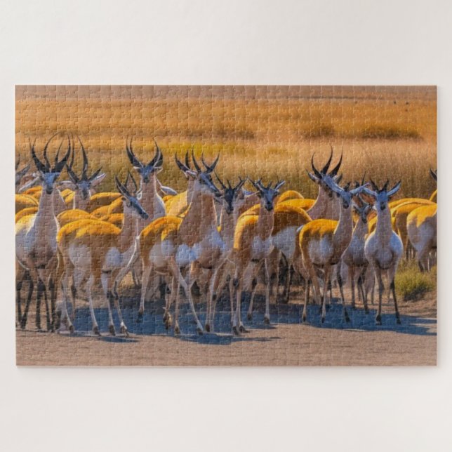 Springbok Herd Jigsaw Puzzle (Horizontal)