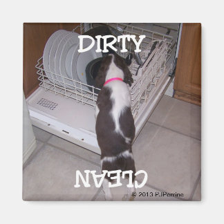 Springer Dishwasher Magnet