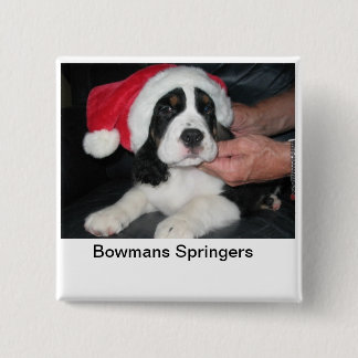 Springer Santa Pin