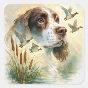 Springer Spaniel and Mallard Duck Double Exposure Square Sticker