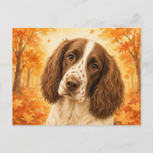 Springer Spaniel Autumn Forest Dog Postcard