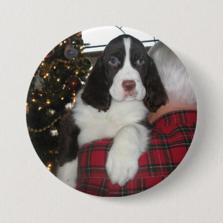 Springer Spaniel Christmas Pins