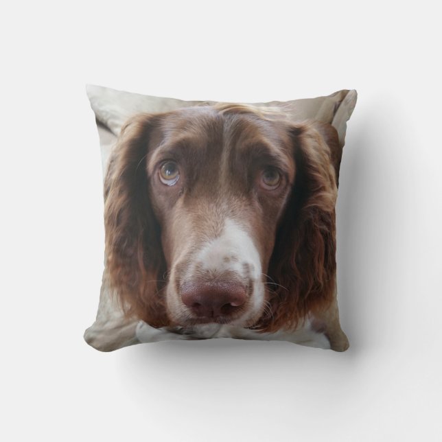 Springer spaniel cushion/springerface cushion (Front)