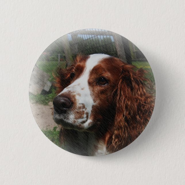 Springer Spaniel Dog Art 6 Cm Round Badge (Front)