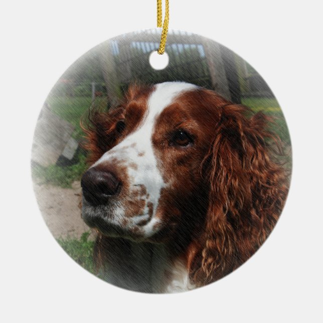 Springer Spaniel Dog Art Ceramic Tree Decoration (Front)