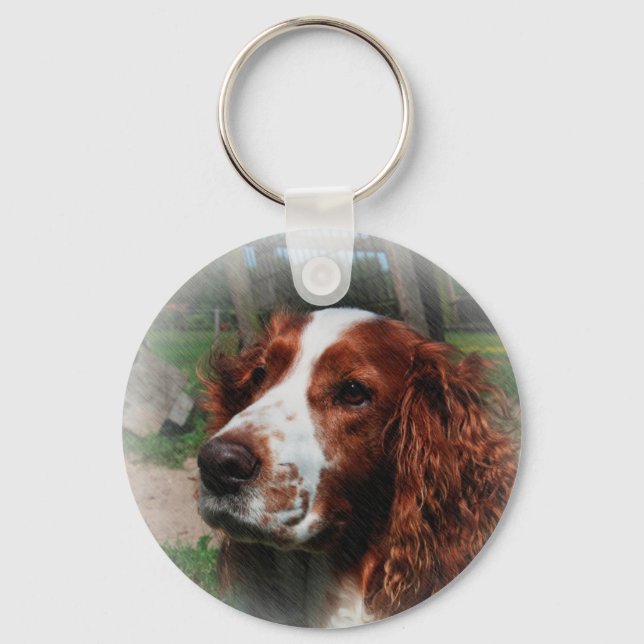 Springer Spaniel Dog Art Key Ring (Front)