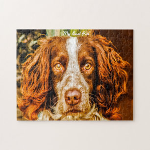 Springer Spaniel Dog Jigsaws. Jigsaw Puzzle