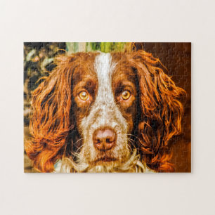 Springer Spaniel Dog Jigsaws. Jigsaw Puzzle