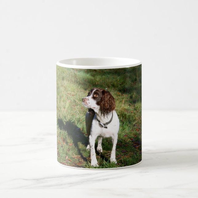 Springer Spaniel Dog  Mug (Center)