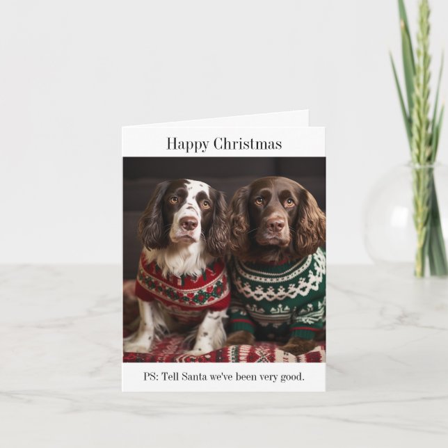 Springer Spaniel Dogs Christmas Card (Front)