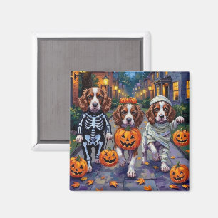 Springer Spaniel Dogs In Halloween Costumes Magnet