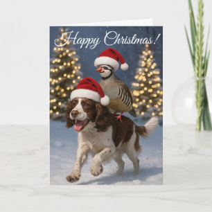 Springer Spaniel gundog & Partridge Christmas card