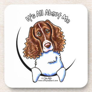 Springer Spaniel IAAM Coaster