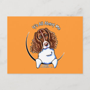 Springer Spaniel IAAM Postcard