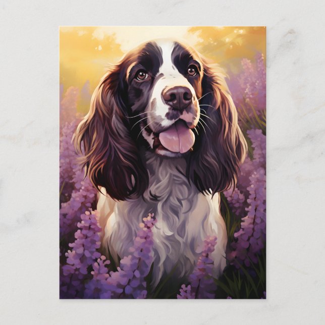 Springer Spaniel in Lavender field Postcard (Front)