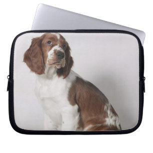 Springer spaniel laptop sleeve