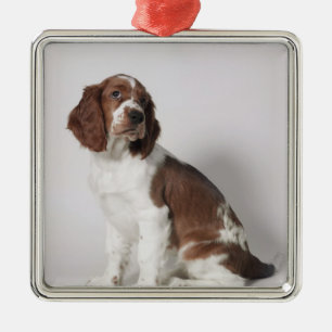 Springer spaniel metal tree decoration