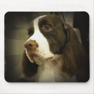 Springer Spaniel Mouse Pad