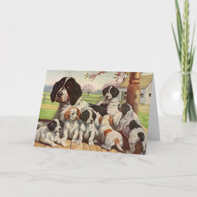 Springer spaniel mum and puppies card (Front)