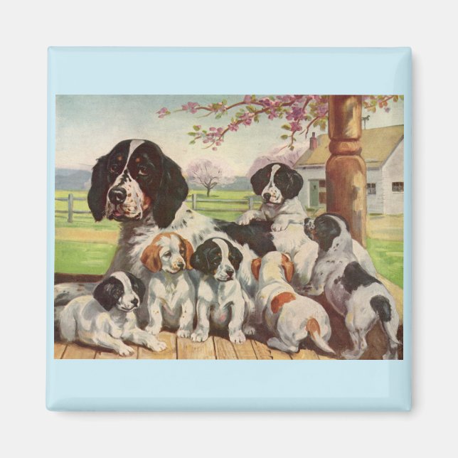springer spaniel mum and puppies magnet (Front)