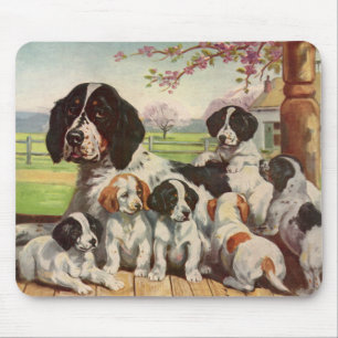 Springer spaniel mum and puppies mouse pad