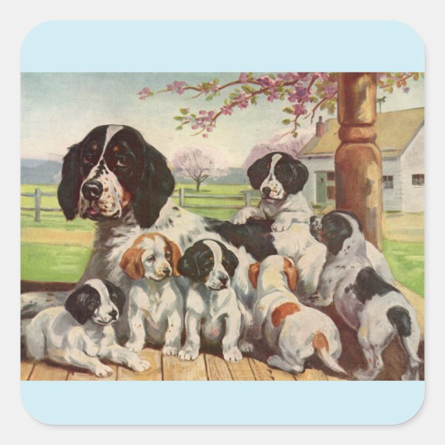 springer spaniel mum and puppies square sticker (Front)