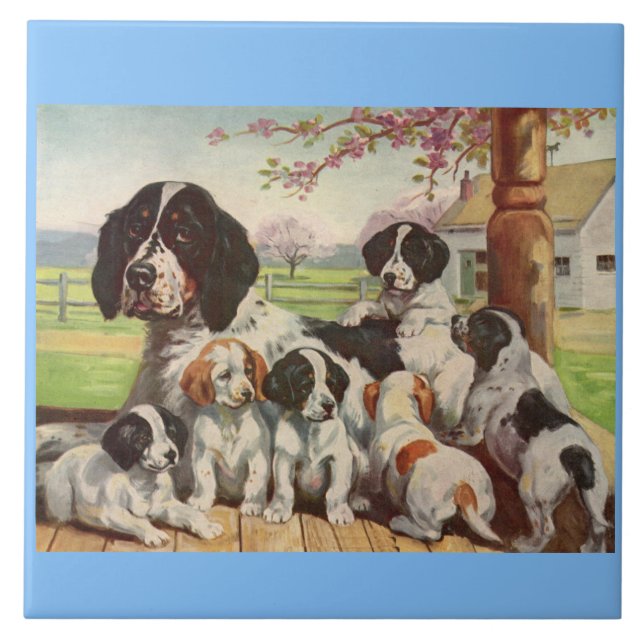 springer spaniel mum and puppies tile (Front)