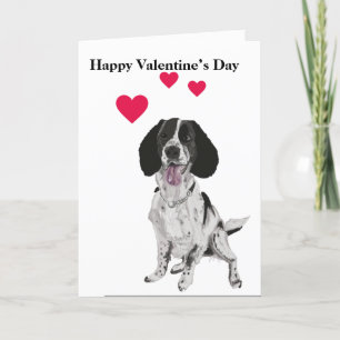 Springer Spaniel Portrait Holiday Card