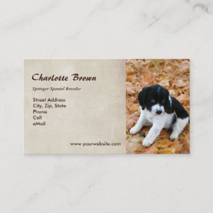 Springer Spaniel Puppy Business Card