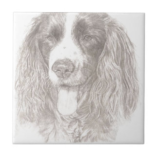Springer Spaniel Tile