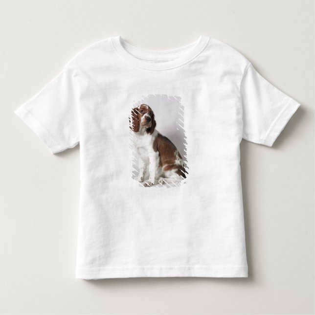 Springer spaniel toddler T-Shirt (Front)
