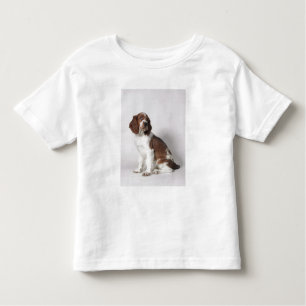 Springer spaniel toddler T-Shirt