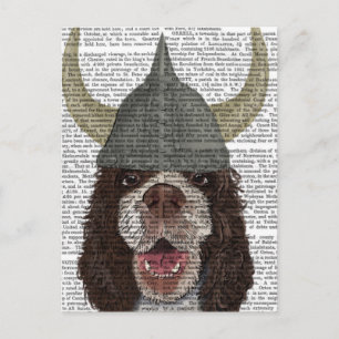 Springer Spaniel Viking Postcard
