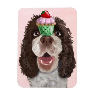 Springer Spaniel with Cupcake 2 Magnet