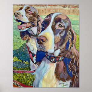 Springer Spaniels Poster