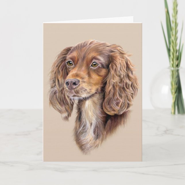 Springer Sprocker Cocker Spaniel Greetings Card (Front)
