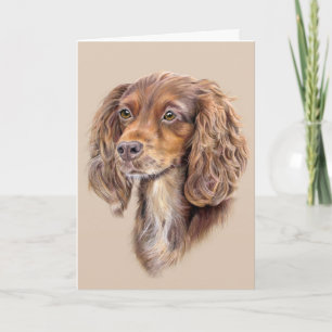 Springer Sprocker Cocker Spaniel Greetings Card